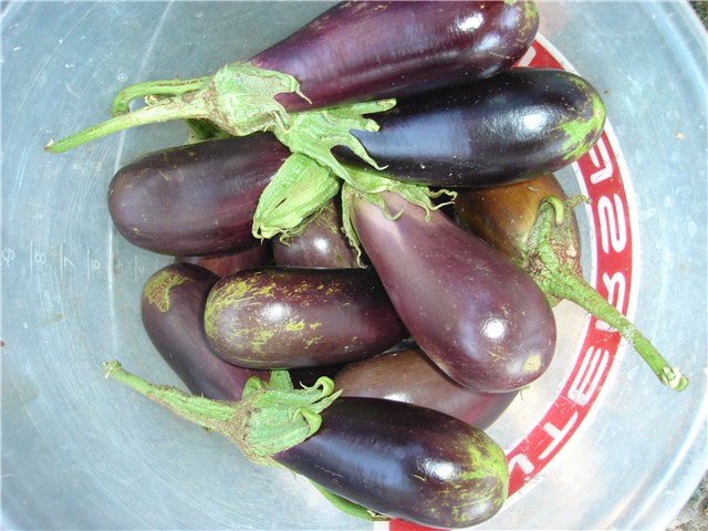 ajvar